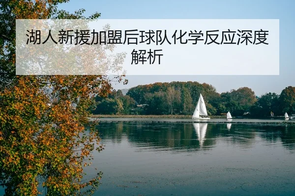 湖人新援加盟后球队化学反应深度解析
